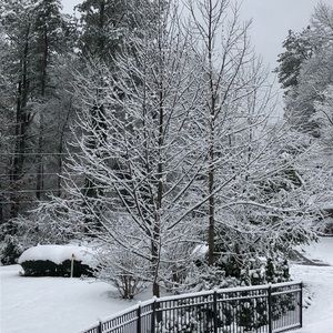 Meet your Posher, Ann